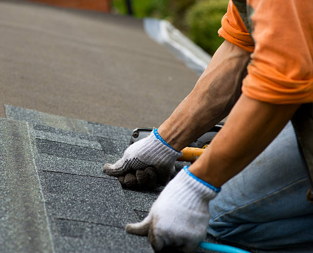 Best Roof Gutter Cleaning  in West Point, KY